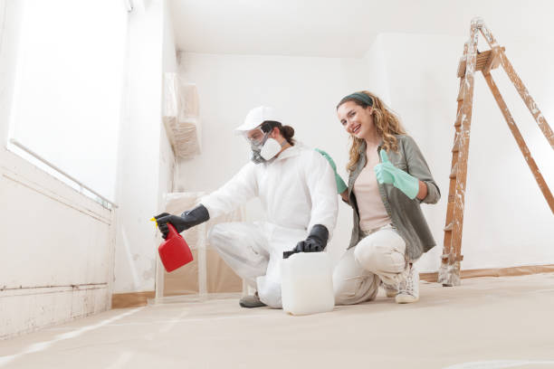 Best Commercial Mold Inspection  in Raoul, GA